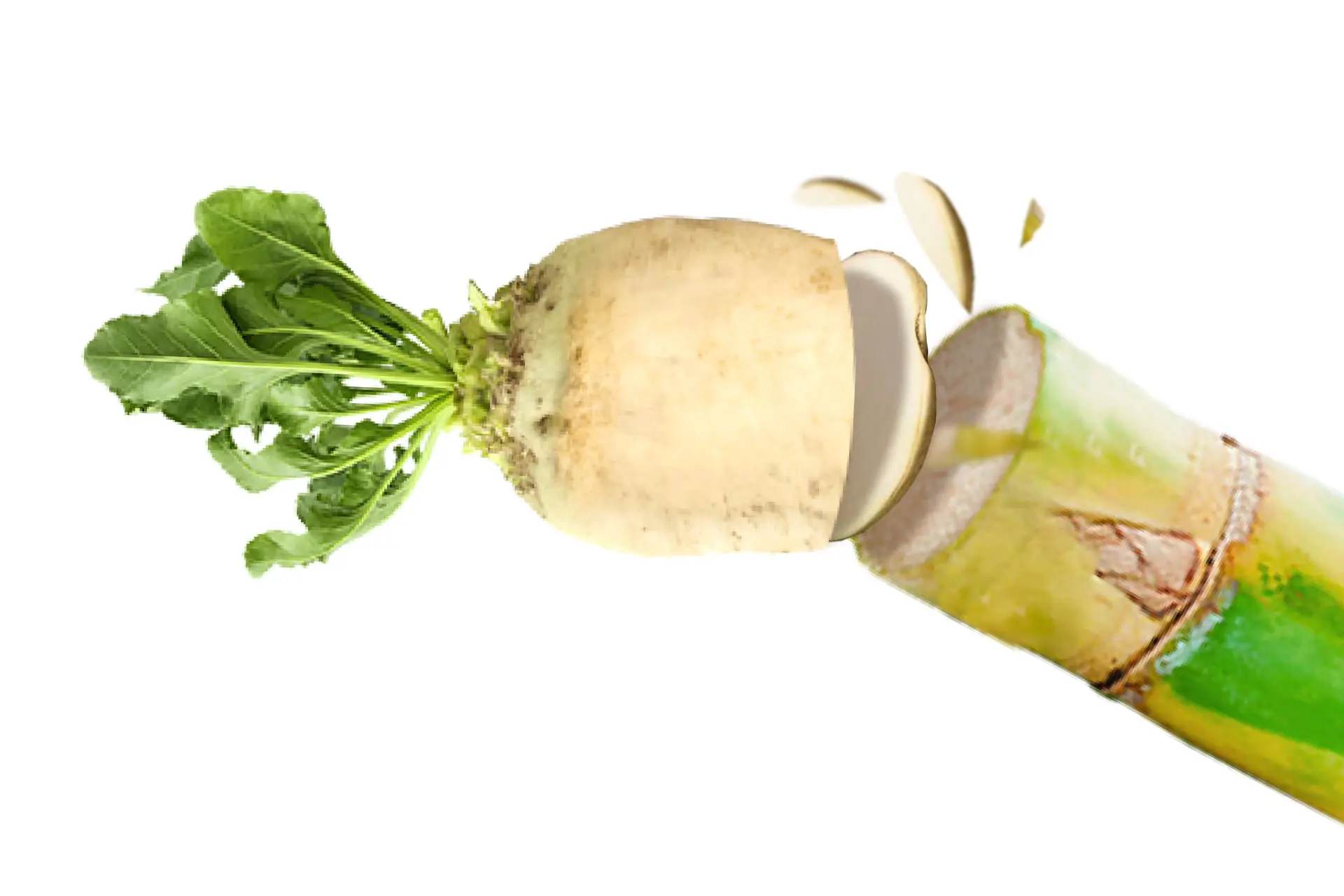 شکر چغندر قند در مقابل نیشکر، کدام سالم تر است؟