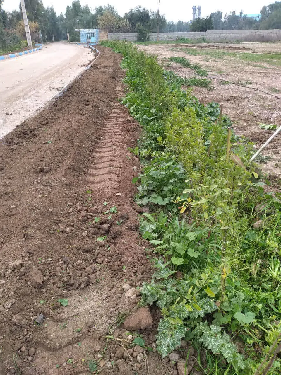 گرامیداشت روز جهانی زمین پاک با شعار ”سیاره در مقابل پلاستیک”