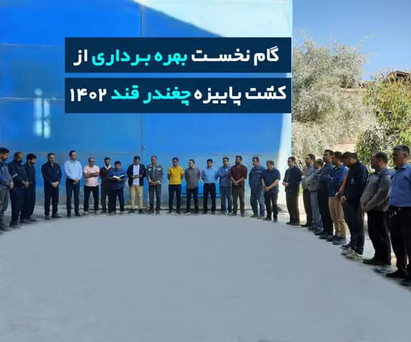 گام نخست بهره برداری از کشت پاییزه چغندرقند ۱۴۰۲ همراه با ورود کامیون های حامل چغندر قند